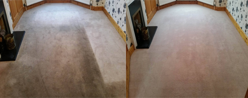 rug cleaning basildon